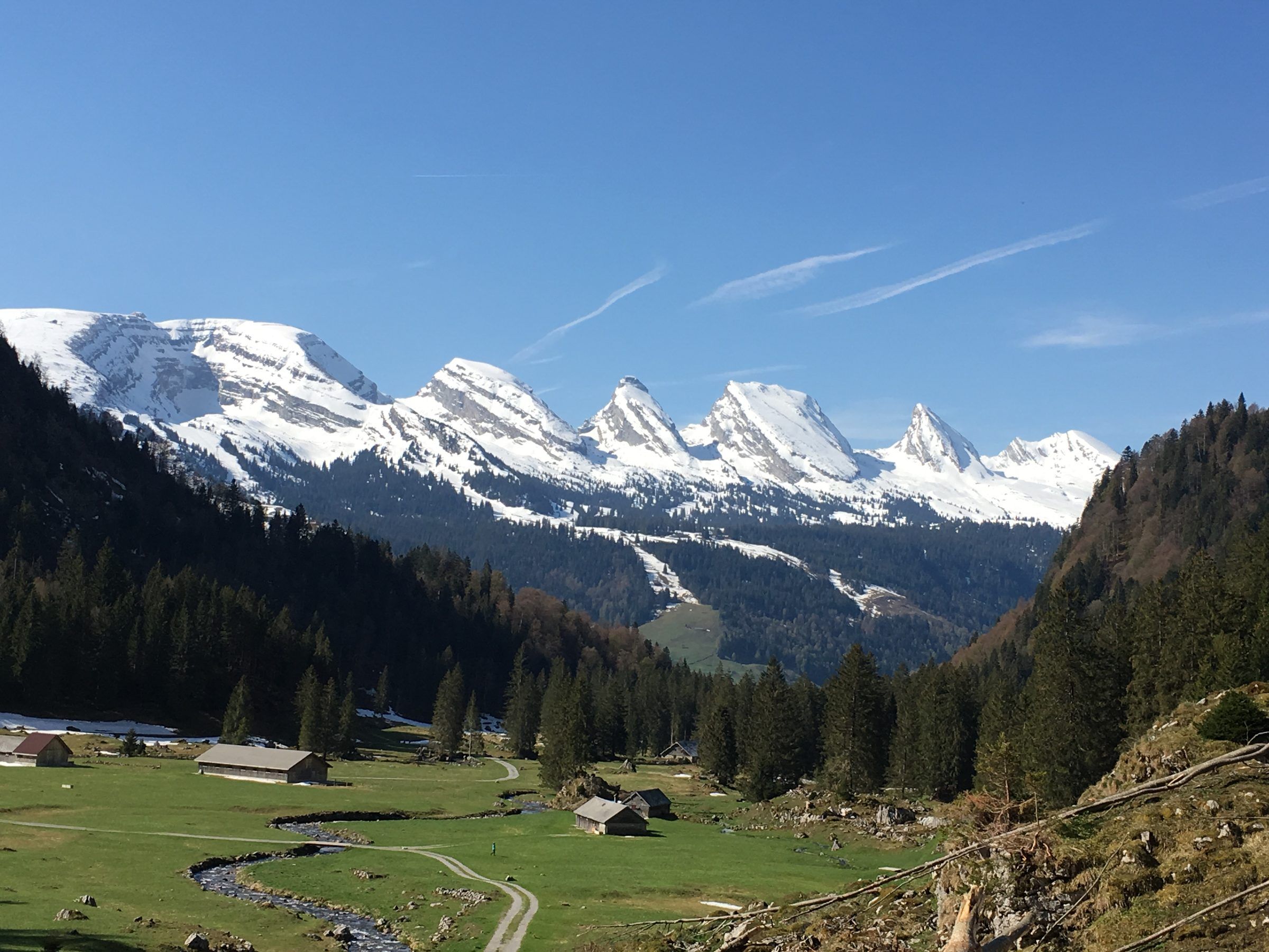 Die verschneiten Churfirsten über einer grünen Alpweide mit Bach und Alphütten im Toggenburg.
