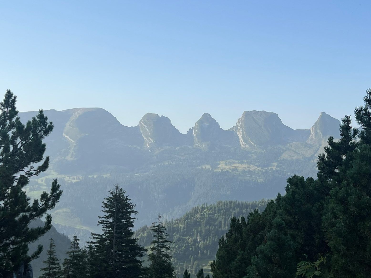 Die Churfirsten im Morgendunst, eingerahmt von dunklen Nadelbäumen.